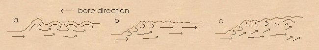 Diagram: Three types of bore which are running right to left a) Undular jump (big start wave, small after) b) Weak 
jump (ramp of water covered in small waves from sub-surface turbulence) c) Steady Jump (large ramp of water 
with much turbulence).