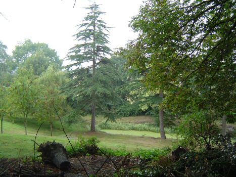 Photo: Pool in the grounds of the palace of the Bishops of Llan Dav.