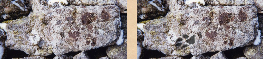 Photo: Paw-like mark, Carn Gafallt.