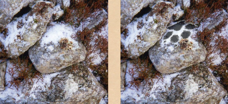 Photo: Paw-like mark, Carn Gafallt.