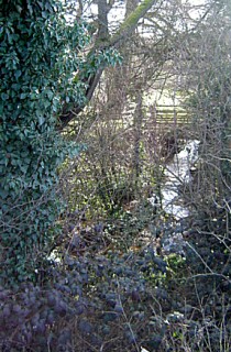 Photo: Gamber Head well and spring area.