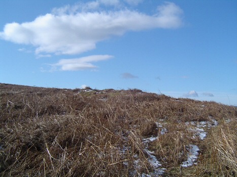 Photo: Garway Hill, earthworks.