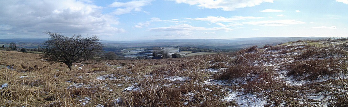 Photo: Earthworks and spring, Garway common.