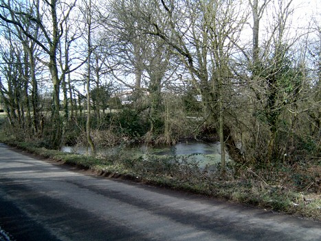 Photo: Ponds, Garway.