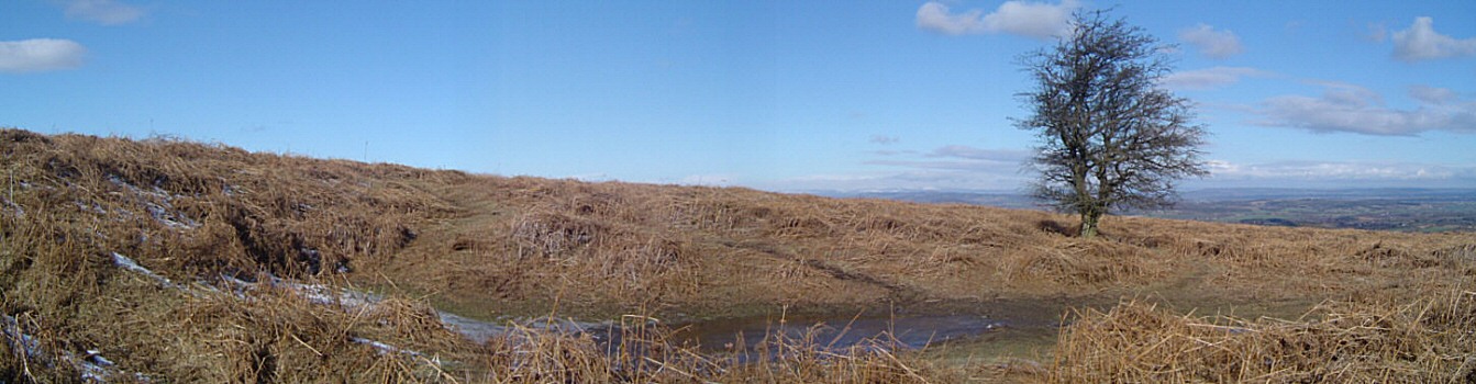 Photo: Earthworks and spring, Garway common.
