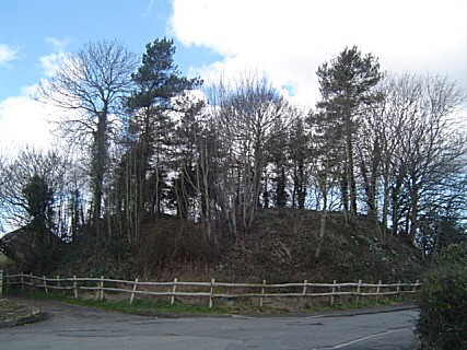 Photo: St. Weonard's Tump.