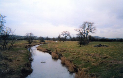 Photo: The River Trannon, looking downstream.