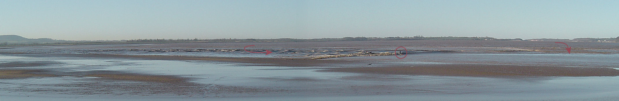 Photo: Two Kings of the Severn as the bore comes across the mudflats.