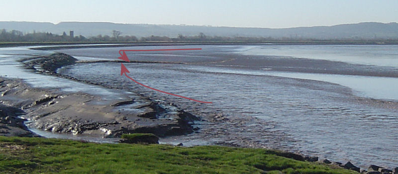 Photo: Two Kings of the Severn meet.