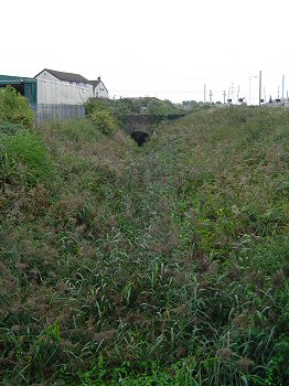 Photo: The brook at Caldicot Pill.