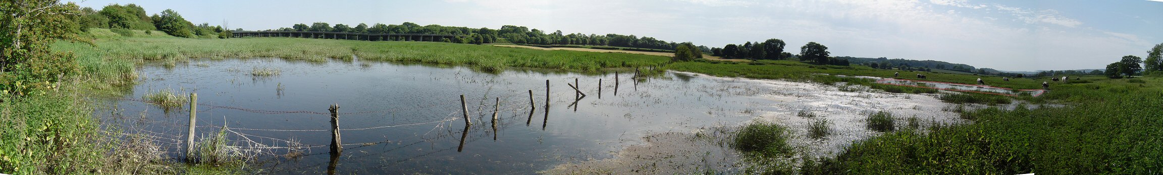 Photo: Lower Whirly Pool site.