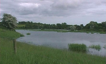 Photo: Lower Whirly Pool site.