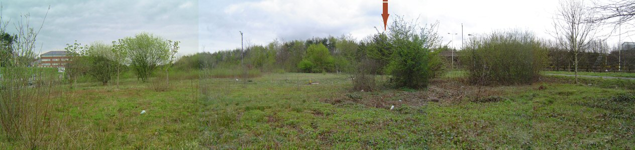 Photo: Area between the roads.