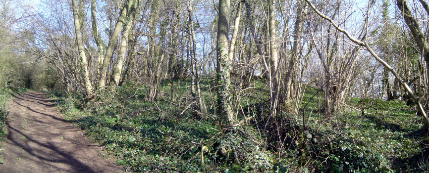Photo: Mound on top of Wynd Cliff.