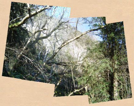 Photo: Wynd Cliff, on the way up.